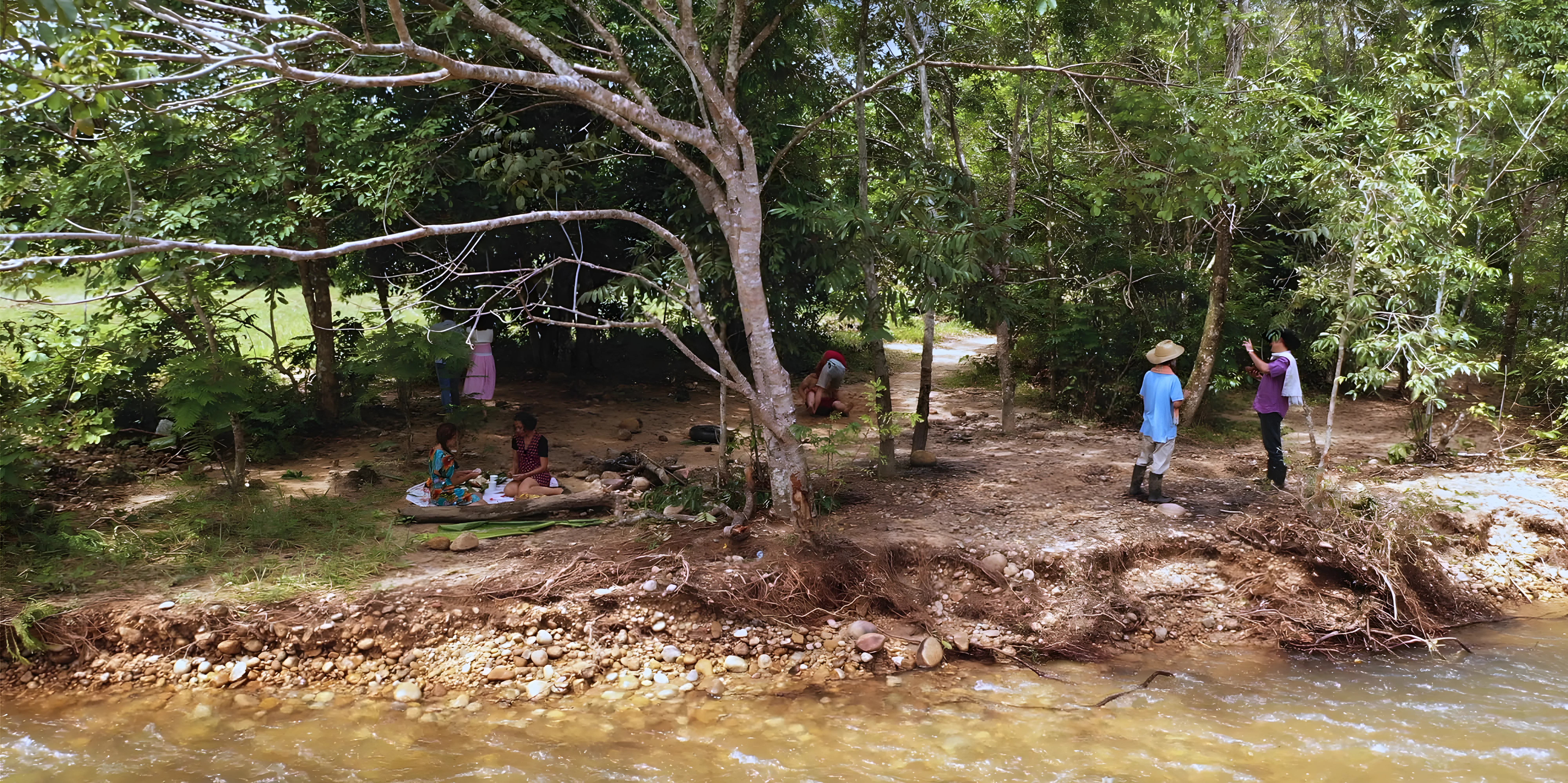 Banner de Sin Clemencia